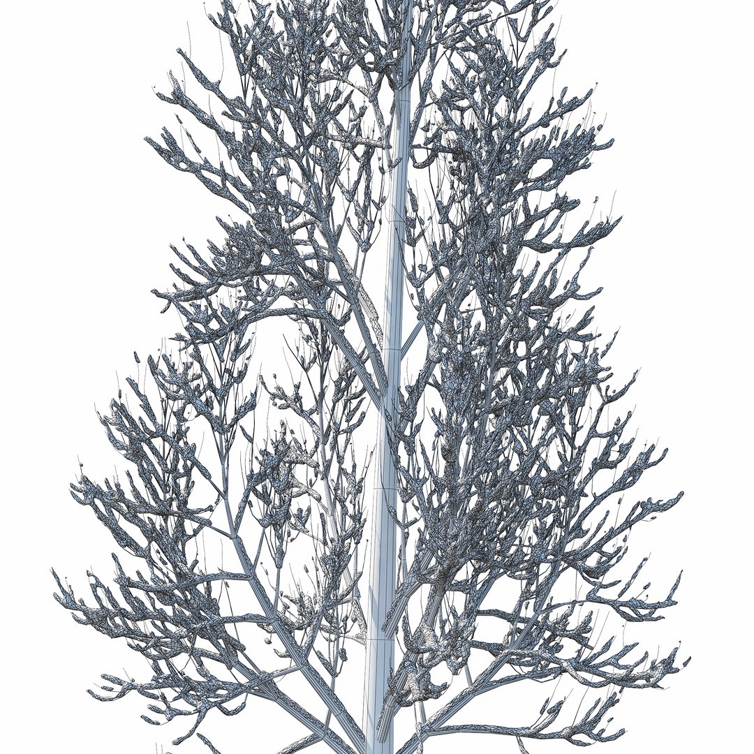Winter Tree 017 Model - TurboSquid 1229655