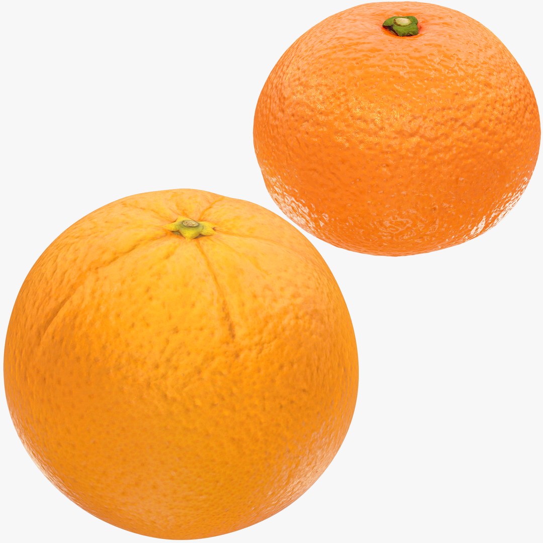 3D Citrus Fruits Collection V4 https://p.turbosquid.com/ts-thumb/p6/1uLSoh/tA/cfc4_001/png/1717807495/1920x1080/fit_q87/cecfb820cc9c1346e6deeaf365a4eeb8d1a43607/cfc4_001.jpg