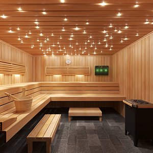 3D sauna room interior