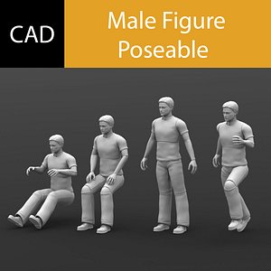 Solidworks CAD Human Male Poseable