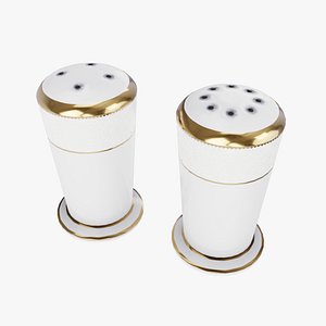 Chinese Salt and Pepper Shakers