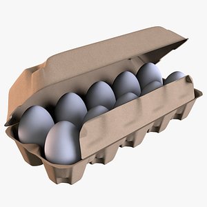 3D eggs model