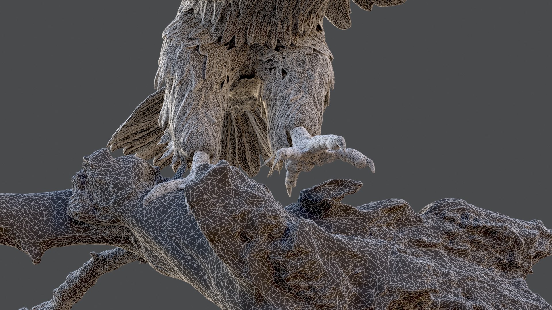 3D model hawk bronze statue https://p.turbosquid.com/ts-thumb/p6/OHtRnq/MTgI4Ji2/w_2/jpg/1582139334/1920x1080/fit_q87/ff86c446cca172528c1293b406590bfbd8dc96ba/w_2.jpg