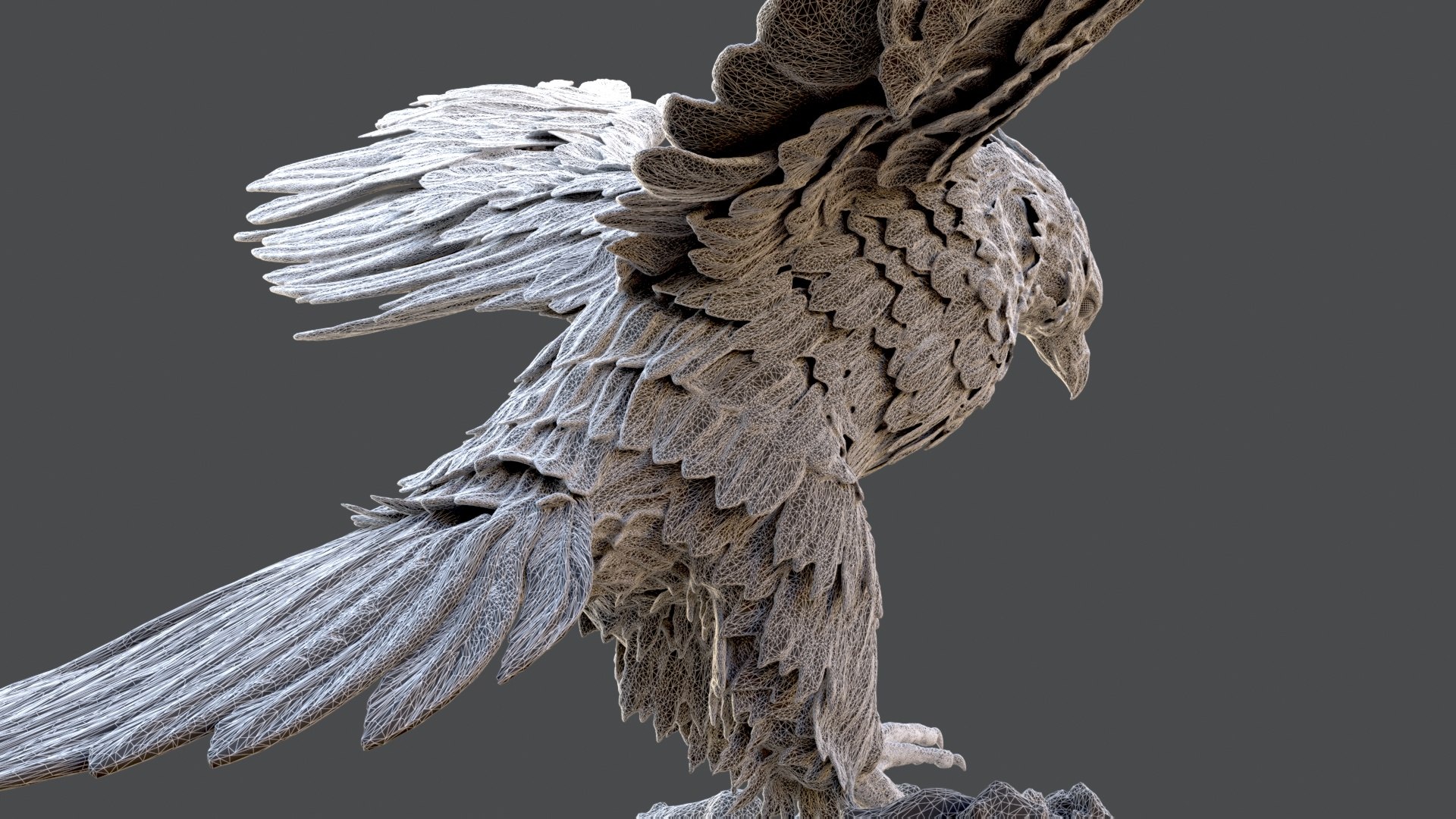 3D model hawk bronze statue https://p.turbosquid.com/ts-thumb/p6/OHtRnq/SvXwUliM/w_4/jpg/1582140193/1920x1080/fit_q87/7762db094b321ac290f852c13fc53b849744ec1b/w_4.jpg