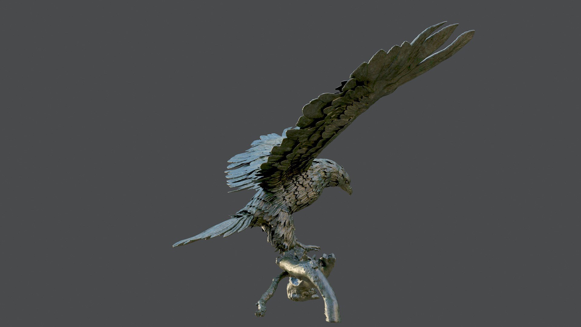 3D model hawk bronze statue https://p.turbosquid.com/ts-thumb/p6/OHtRnq/v0LAVo7D/h_0007/jpg/1582136578/1920x1080/fit_q87/f00073a890409a9486bbe890d30d22d589725790/h_0007.jpg