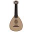 3D model Lute PBR