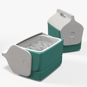 Portable Thermobox Filled with Ice model