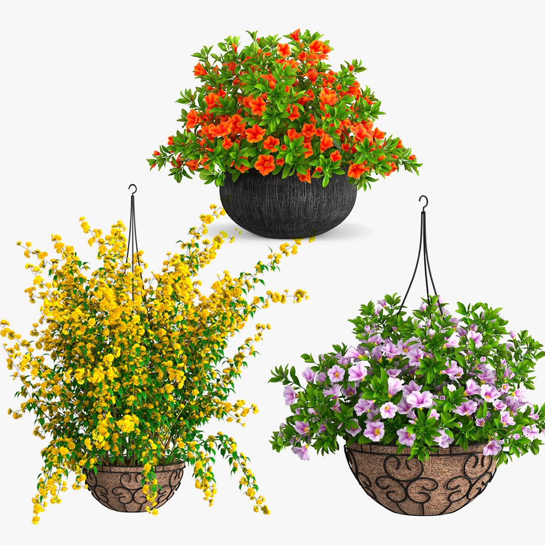 Blooming Flowers in Pot Collection 3D model preview