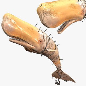 ORANGE WHALE Sperm Whale Moby Dick