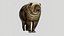 Bear 3D