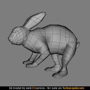 3ds real time rabbit