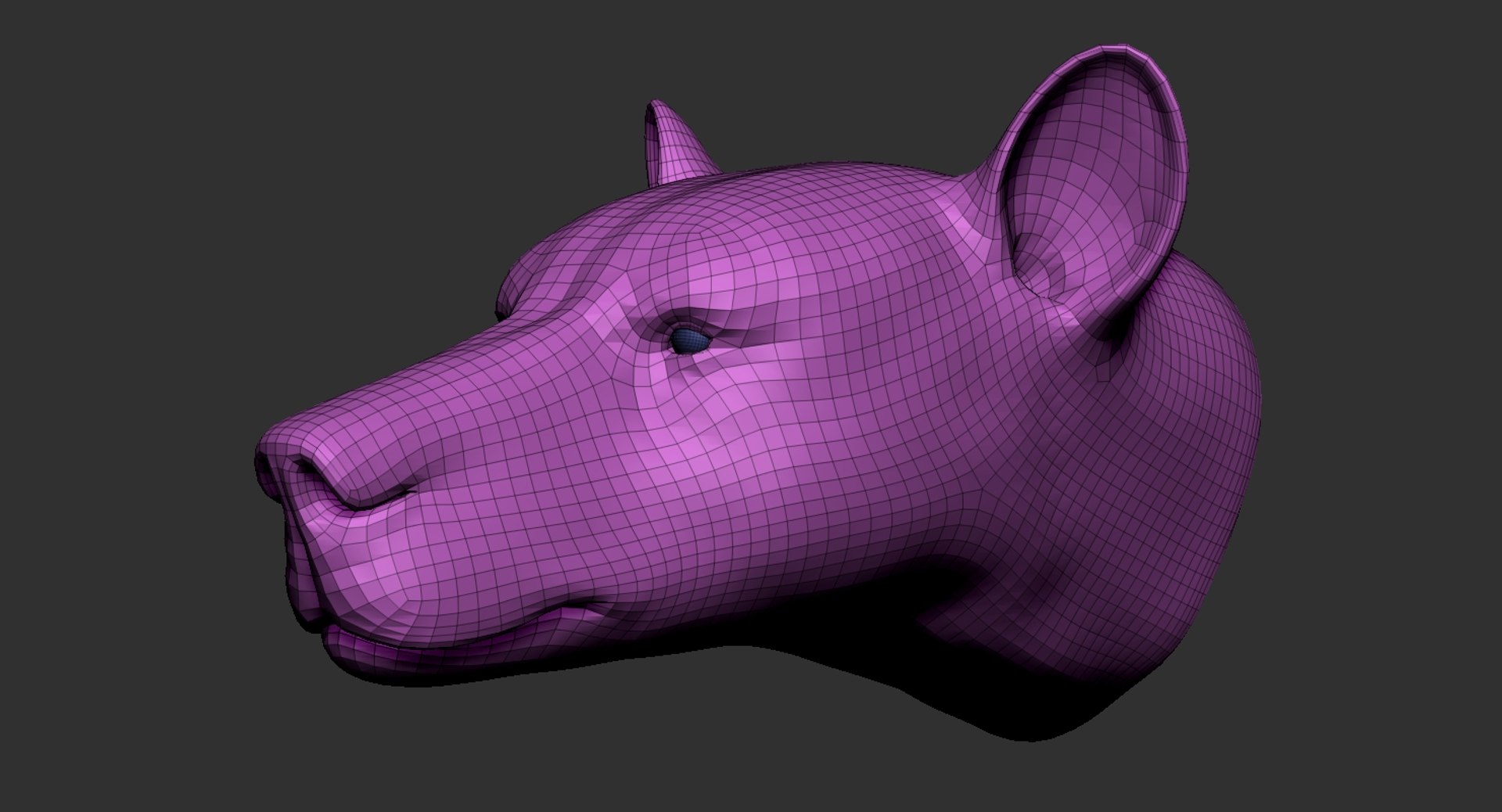 3D model bear head base mesh https://p.turbosquid.com/ts-thumb/p6/plDZUV/ZLBWhqCn/9/jpg/1591482074/1920x1080/fit_q87/d459735663f343e27134c07aca7c2ba73690b22b/9.jpg