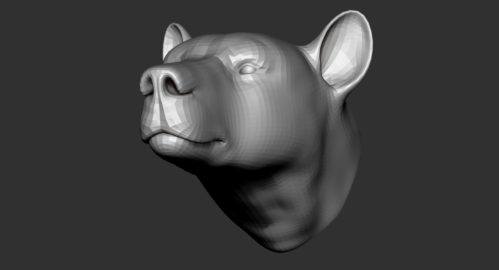 3D model bear head base mesh https://p.turbosquid.com/ts-thumb/p6/plDZUV/bUQ6WA52/8/jpg/1591482058/1920x1080/fit_q87/c595be02cb3325f748acd221c3de65c2a9841c12/8.jpg
