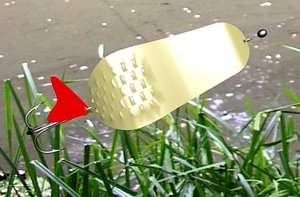 Spoon Lure