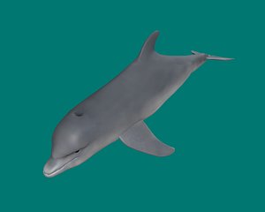 Delfin