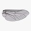 Insect Wing