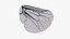 Insect Wing