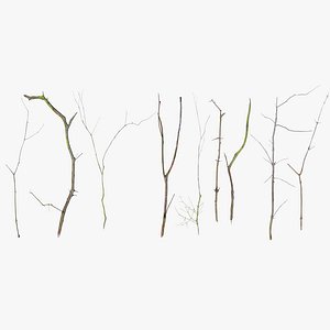 3D Spruce Twigs