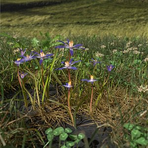 glory snow pack 3D model