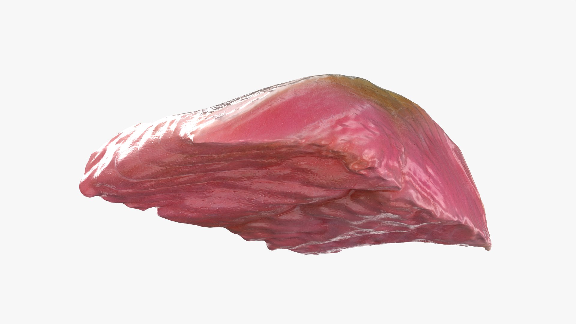 3D Pink Herring Fillet Portion - 3D Scanned https://p.turbosquid.com/ts-thumb/p7/b4xEDe/3s/herringfillet01_0008/png/1780218943/1920x1080/fit_q87/1eb030cae458f28ea75ae3160be626a38b45276c/herringfillet01_0008.jpg