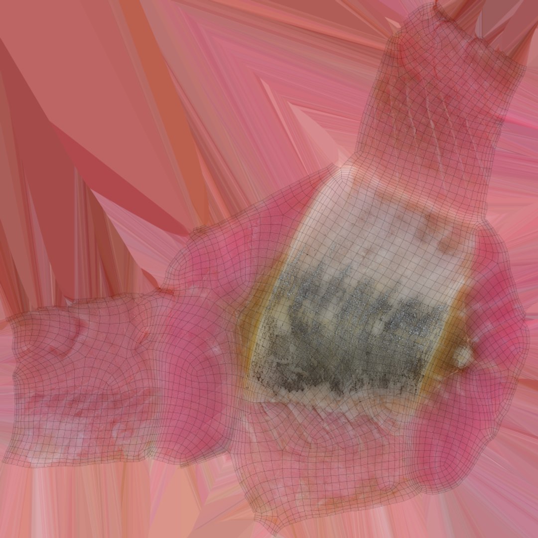 3D Pink Herring Fillet Portion - 3D Scanned https://p.turbosquid.com/ts-thumb/p7/b4xEDe/l1/herringfillet01_e0004/png/1780218946/1920x1080/fit_q87/ebb93254e754802cc8d1a7a2ca4df42b7c72f5af/herringfillet01_e0004.jpg