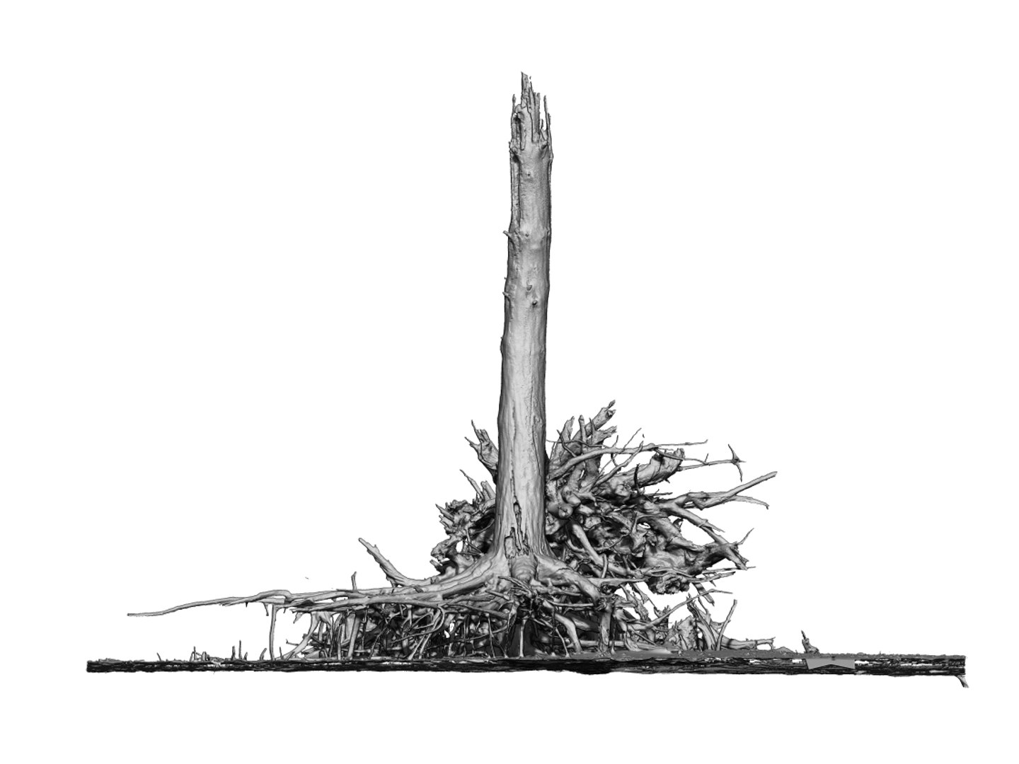 3D Desert Tree Laying 05 Model - TurboSquid 1380424