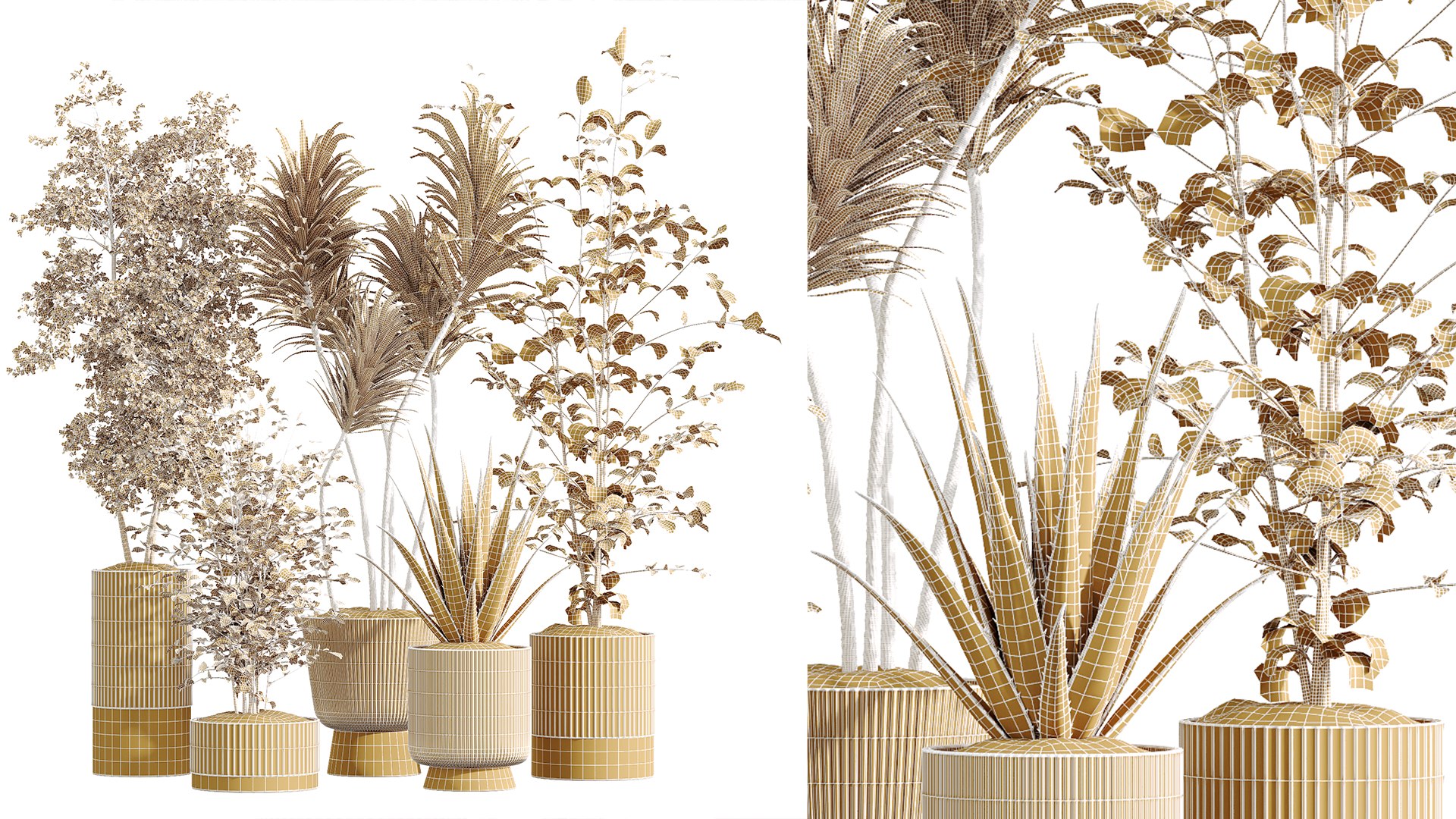 AV Indoor Plants Set 220 Hazel Erle and Aloe Vera and Mission Olive and Spineless Palm 3D https://p.turbosquid.com/ts-thumb/p7/wADVrN/wq/07/png/1747290584/1920x1080/fit_q87/532fbe9057c4c245a4765cca89b468d2db9d1e91/07.jpg