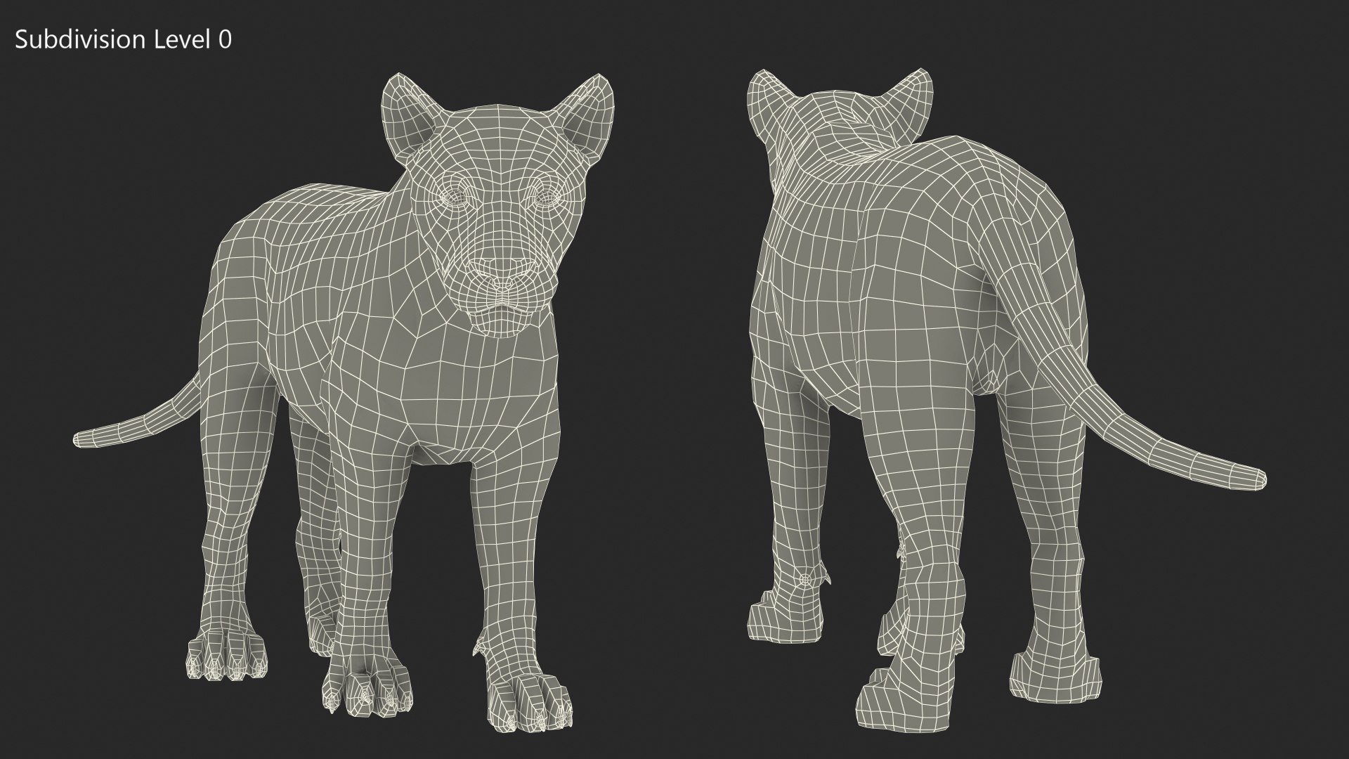 White Male Lion Walking Pose Fur 3D https://p.turbosquid.com/ts-thumb/p8/7XA4nT/1m/whitemalelionwalkingposefur3dsmodel017/jpg/1625044471/1920x1080/fit_q87/bcd494b32a547b74dbcbd582338527106ee46342/whitemalelionwalkingposefur3dsmodel017.jpg