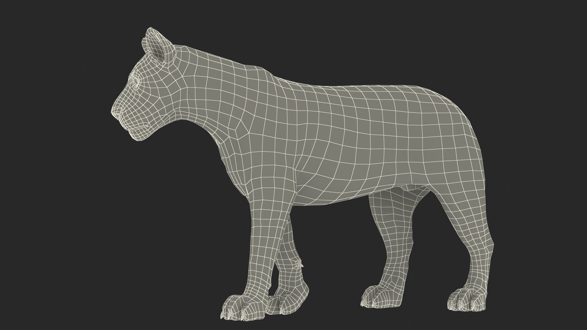 White Male Lion Walking Pose Fur 3D https://p.turbosquid.com/ts-thumb/p8/7XA4nT/23/whitemalelionwalkingposefur3dsmodel022/jpg/1625044483/1920x1080/fit_q87/96ff2d6dd5b6b89ff4f6ef12d08809d1412d1dda/whitemalelionwalkingposefur3dsmodel022.jpg