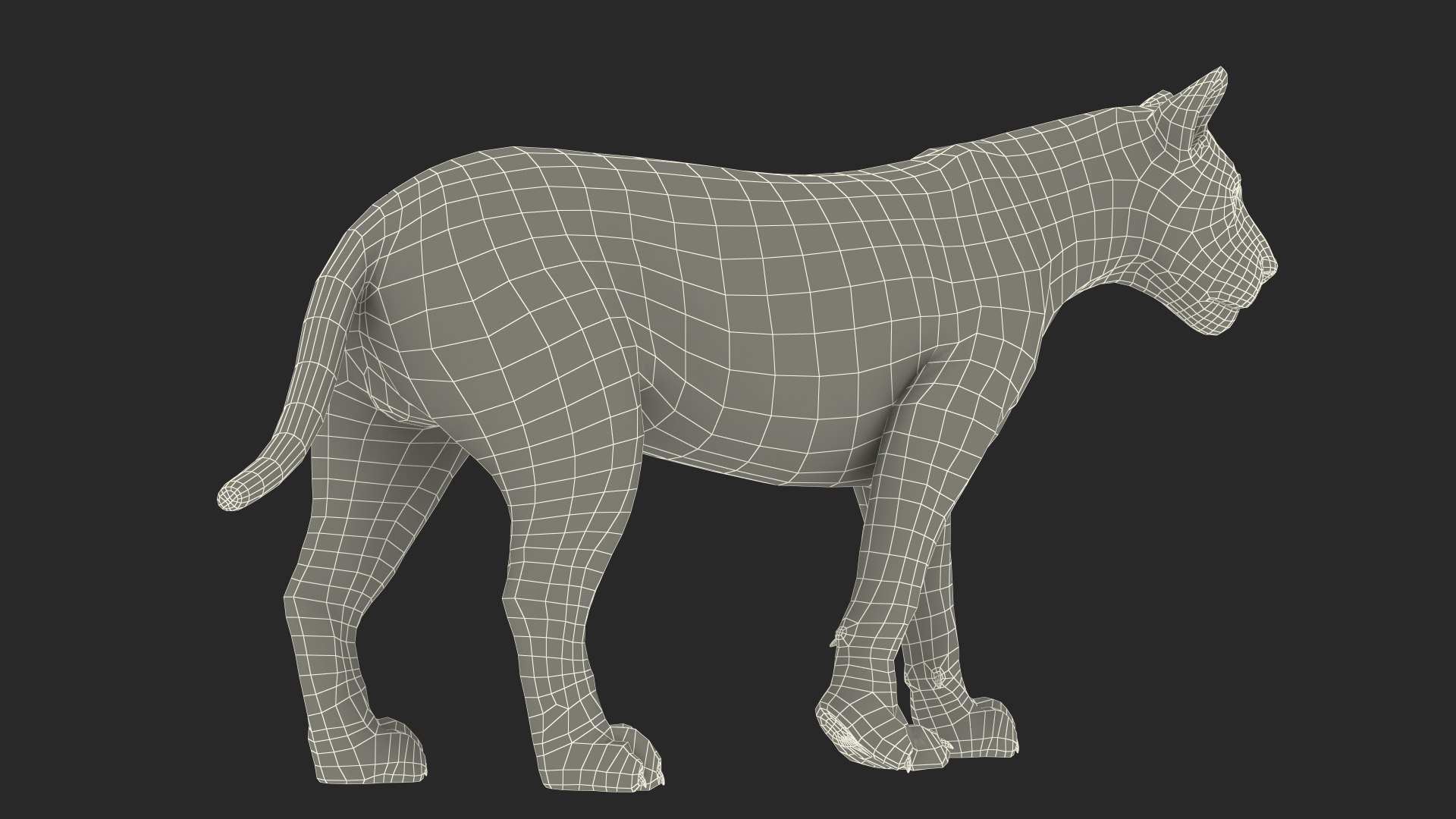 White Male Lion Walking Pose Fur 3D https://p.turbosquid.com/ts-thumb/p8/7XA4nT/Og/whitemalelionwalkingposefur3dsmodel023/jpg/1625044485/1920x1080/fit_q87/6cfaf9df6de8bb917f9944794dc678bf076ffa43/whitemalelionwalkingposefur3dsmodel023.jpg