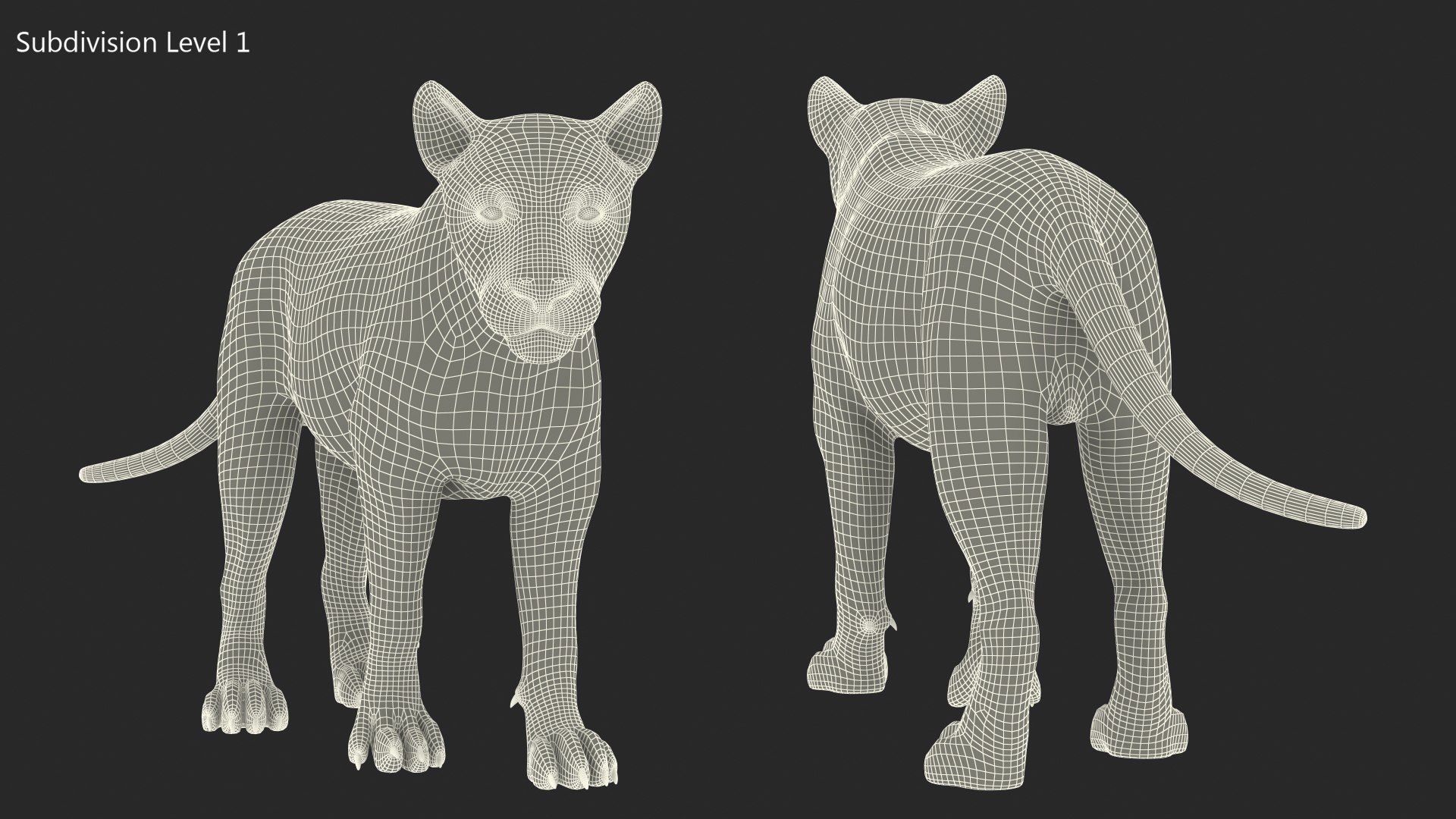 White Male Lion Walking Pose Fur 3D https://p.turbosquid.com/ts-thumb/p8/7XA4nT/hu/whitemalelionwalkingposefur3dsmodel018/jpg/1625044473/1920x1080/fit_q87/11d82f43a33cf2f3c03eb881ddc99193bd8fc68f/whitemalelionwalkingposefur3dsmodel018.jpg