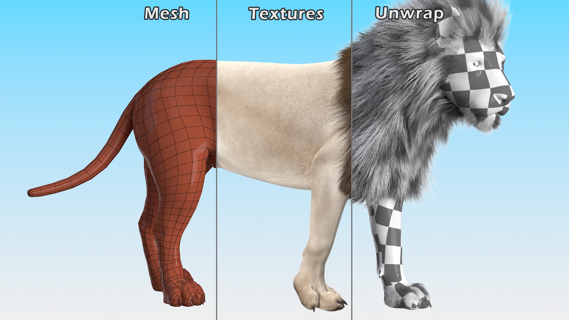 White Male Lion Walking Pose Fur 3D https://p.turbosquid.com/ts-thumb/p8/7XA4nT/sX/whitemalelionwalkingposefur3dsmodel016/jpg/1625044468/1920x1080/fit_q87/208a58bae6654073db8b22e7e50efd98db723ba4/whitemalelionwalkingposefur3dsmodel016.jpg