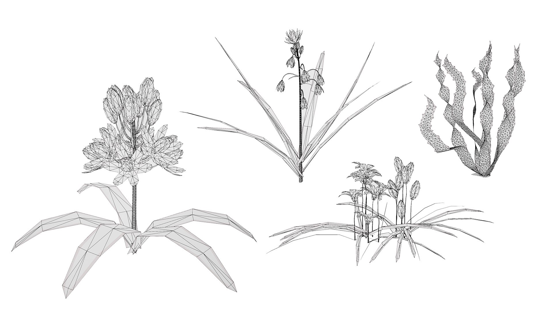 3D Rare Arabian Desert Plant Collection https://p.turbosquid.com/ts-thumb/p8/Iln5Oy/aZ/wirel/jpg/1766532331/1920x1080/fit_q87/25fe4a7a51a95160c2768540a8046adf397871c0/wirel.jpg
