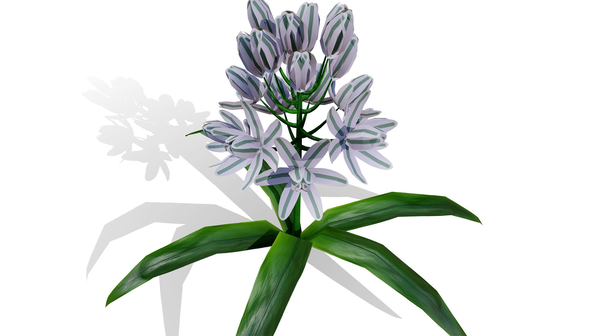 3D Rare Arabian Desert Plant Collection https://p.turbosquid.com/ts-thumb/p8/Iln5Oy/op/01albucapendulainsecondvariationsz54l/jpg/1766532326/1920x1080/fit_q87/5f9e2536c3ee7392ea2802bf3188a8934b1d15f2/01albucapendulainsecondvariationsz54l.jpg
