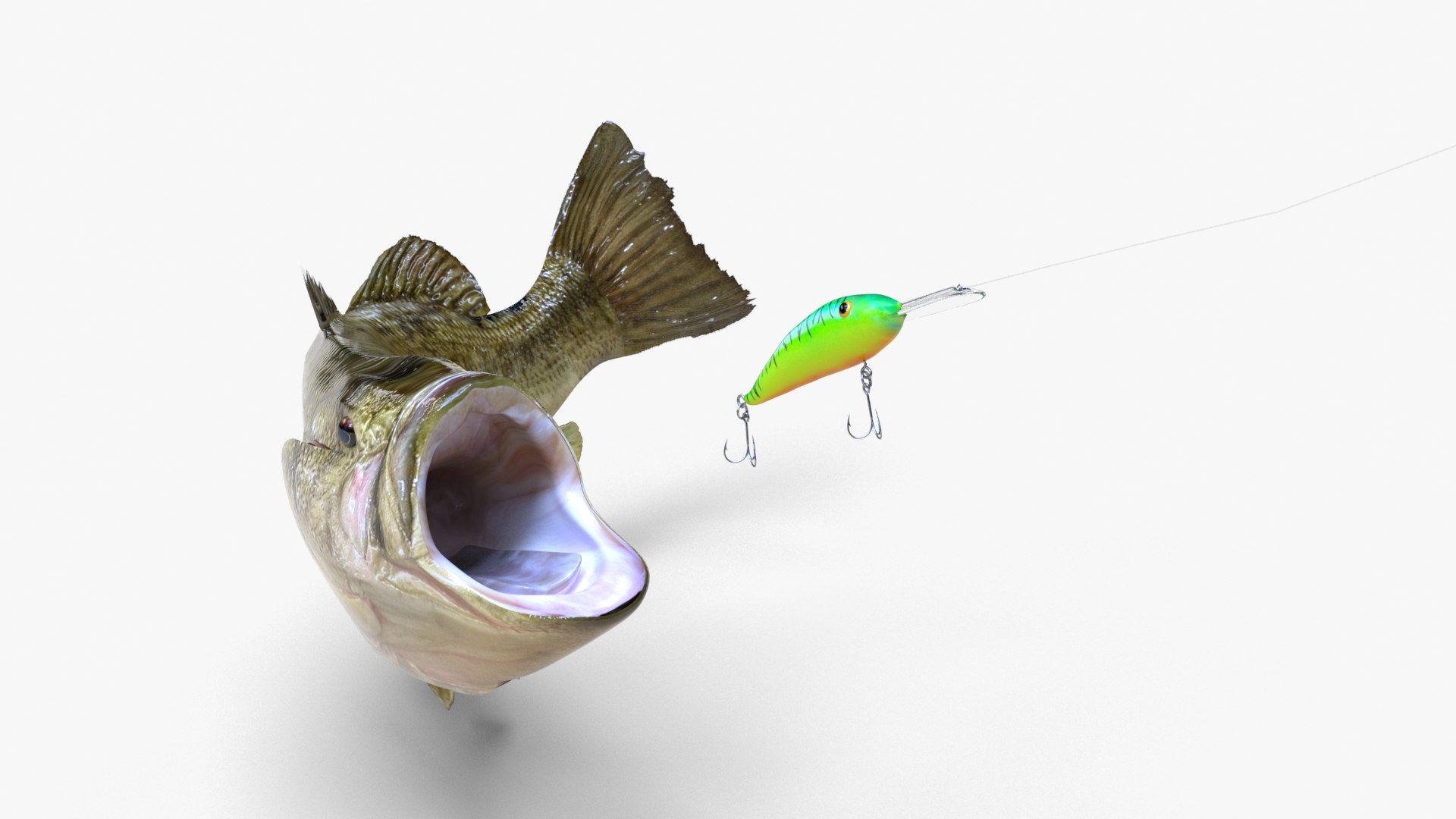 largemouth bass 3D model https://p.turbosquid.com/ts-thumb/p8/J2Tl11/yquqJVZx/bass_02/jpg/1581852164/1920x1080/fit_q87/6b8125b2e6fb8cb07c15c25af367a4b885b98e6e/bass_02.jpg