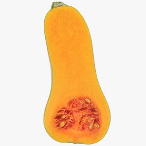 3D model Half Butternut Squash