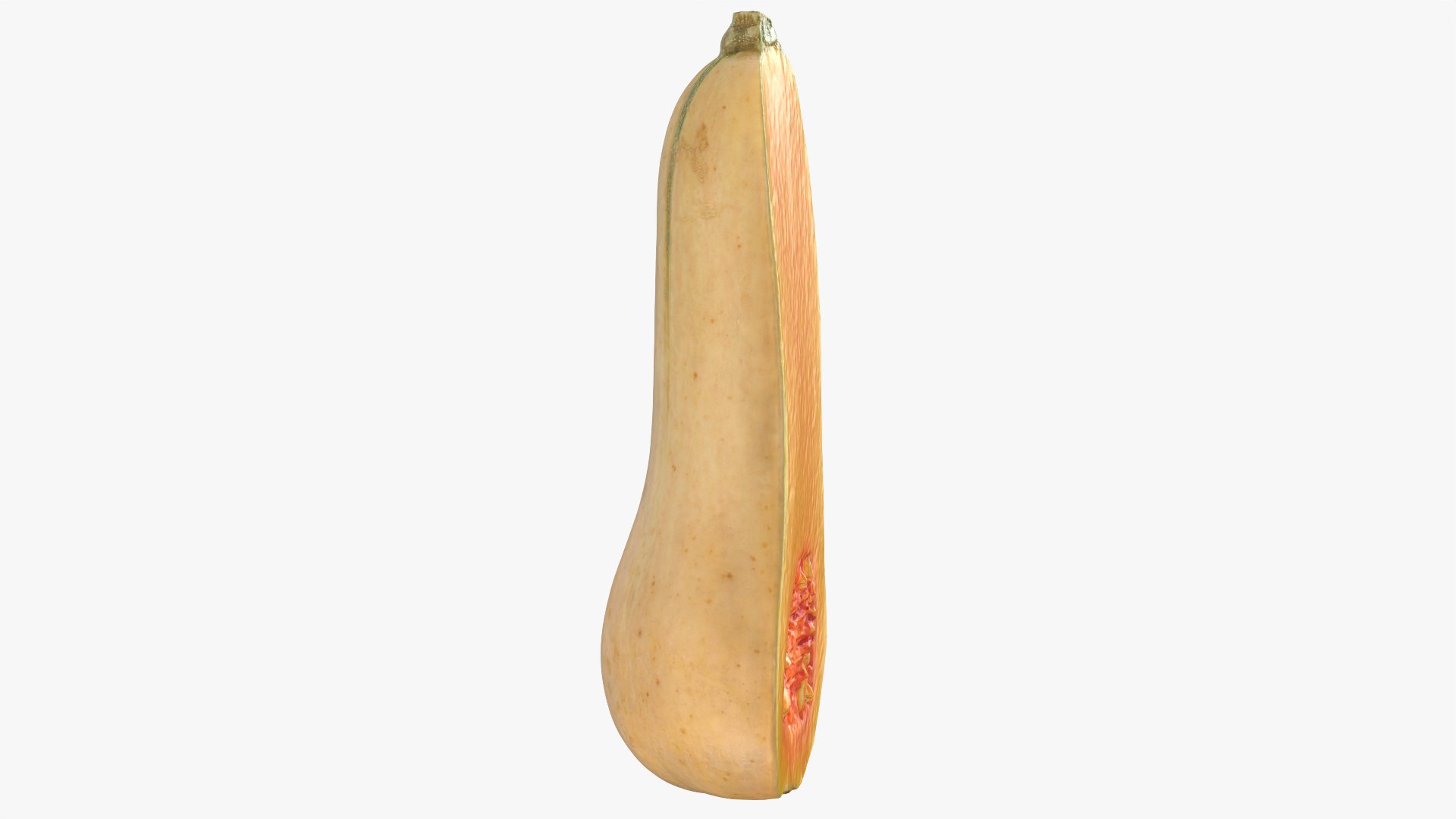 3D model Half Butternut Squash https://p.turbosquid.com/ts-thumb/p8/Wj6M0h/Bs/butternutsquashcut_0009/png/1765871747/1920x1080/fit_q87/cbf33e2caab5cd012f6b3c5932ad1fba0e94e2a5/butternutsquashcut_0009.jpg