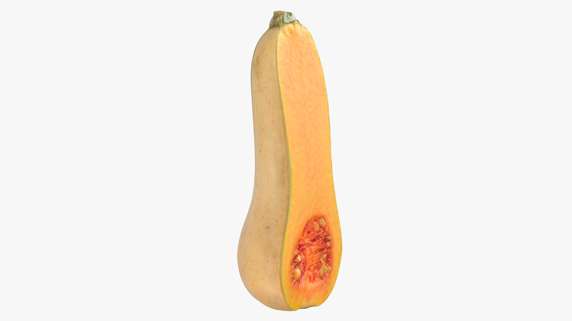 3D model Half Butternut Squash https://p.turbosquid.com/ts-thumb/p8/Wj6M0h/Ic/butternutsquashcut_0002/png/1765871739/1920x1080/fit_q87/e4229336888b88608a7010db0ee3d2a9e4d5847b/butternutsquashcut_0002.jpg