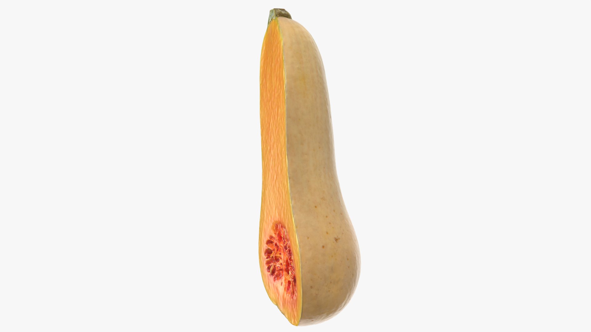 3D model Half Butternut Squash https://p.turbosquid.com/ts-thumb/p8/Wj6M0h/as/butternutsquashcut_0005/png/1765871743/1920x1080/fit_q87/cedfae1fd94c4956fe6ca99164ba2384f9c93d5a/butternutsquashcut_0005.jpg