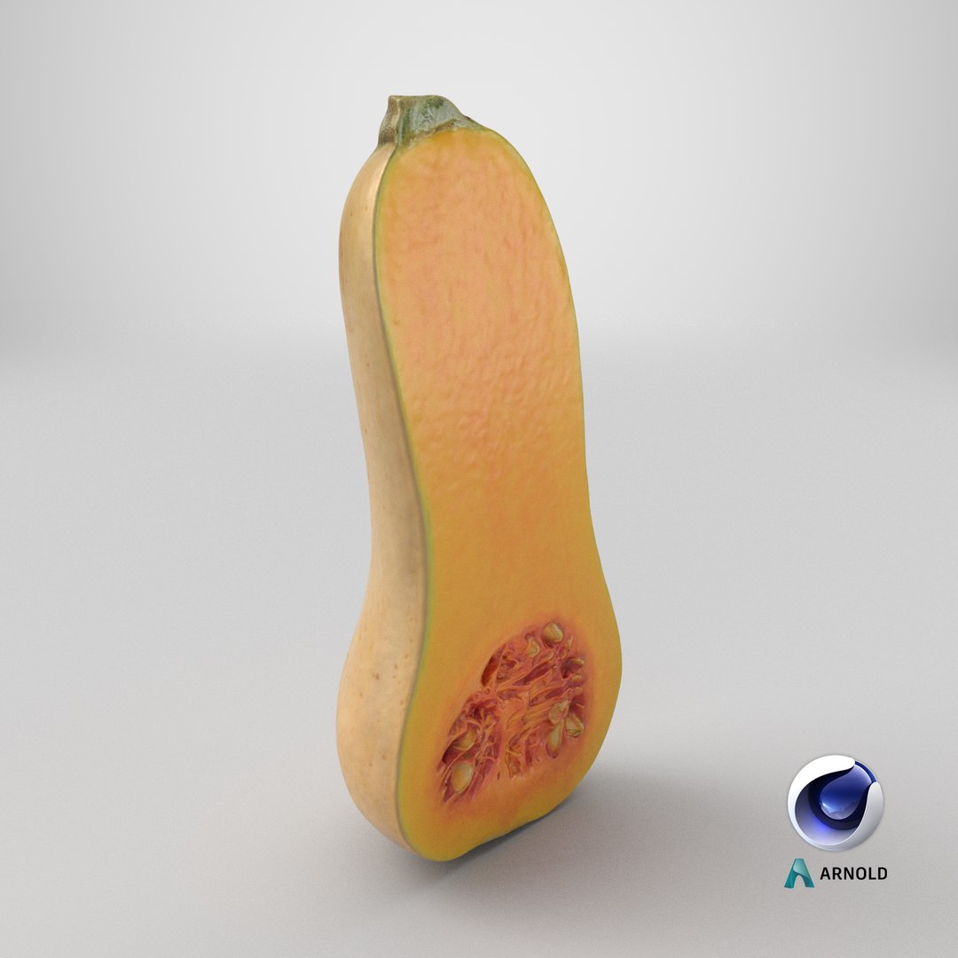 3D model Half Butternut Squash https://p.turbosquid.com/ts-thumb/p8/Wj6M0h/bH/stemcell_cinema_4d_arnold_render/png/1766555718/1920x1080/fit_q87/fca5e82a3d1e14af7c3c6e4568763d633f089d79/stemcell_cinema_4d_arnold_render.jpg