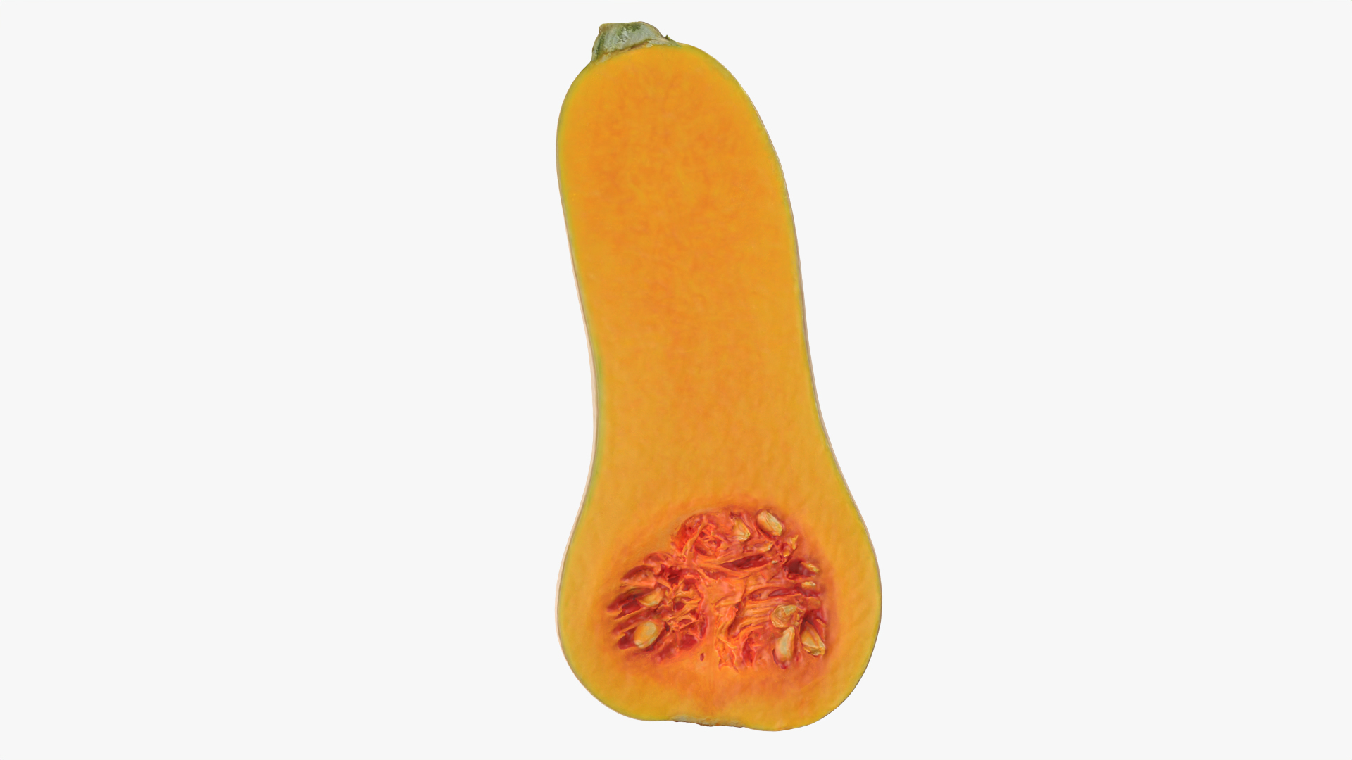 3D model Half Butternut Squash https://p.turbosquid.com/ts-thumb/p8/Wj6M0h/dX/butternutsquashcut/png/1766299941/1920x1080/turn_fit_q99/00bf51a0c546b8f587416daa2ea5bf5552da36ca/butternutsquashcut-1.jpg