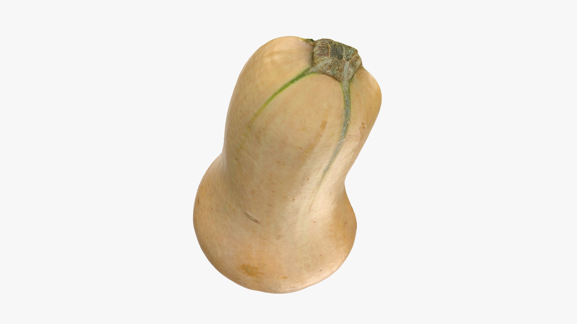 3D model Half Butternut Squash https://p.turbosquid.com/ts-thumb/p8/Wj6M0h/qz/butternutsquashcut_0003/png/1765871741/1920x1080/fit_q87/765d0ff8e78a1d374b7b487d03c160b13dfc96b3/butternutsquashcut_0003.jpg