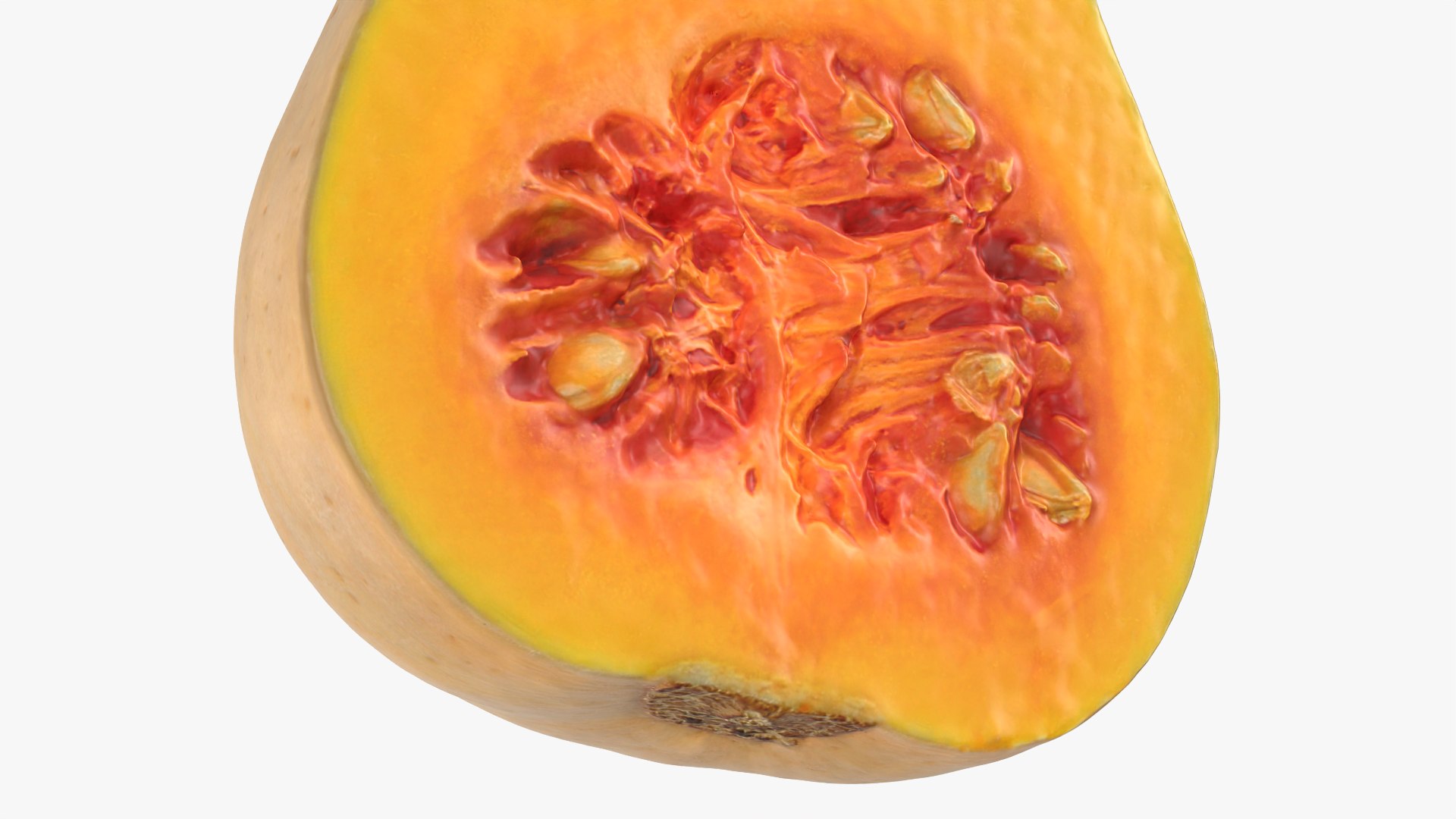 3D model Half Butternut Squash https://p.turbosquid.com/ts-thumb/p8/Wj6M0h/sV/butternutsquashcut_0011/png/1765871761/1920x1080/fit_q87/d9a65cd34e51e59efe198e05da95e26db4dc64ee/butternutsquashcut_0011.jpg