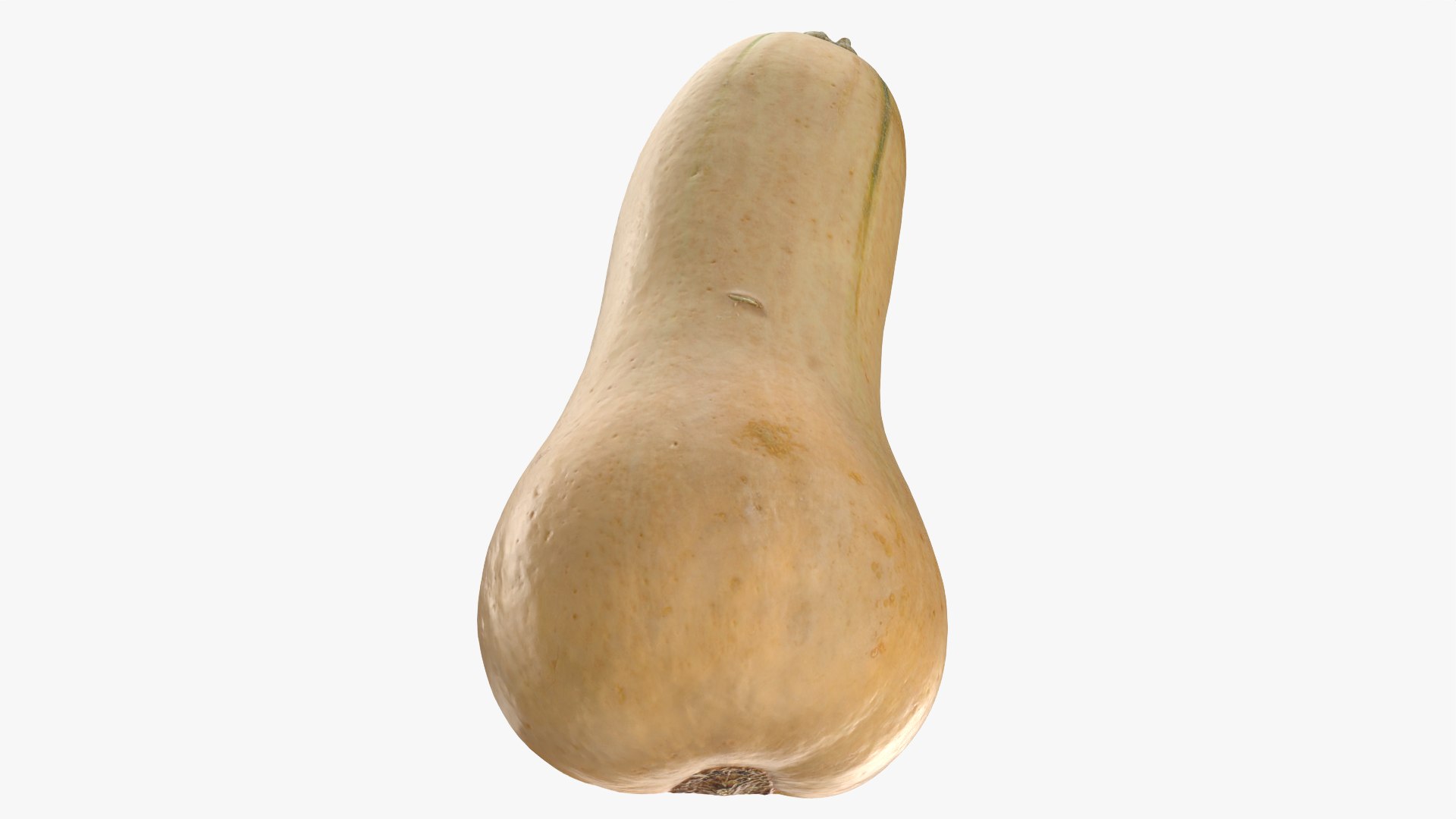 3D model Half Butternut Squash https://p.turbosquid.com/ts-thumb/p8/Wj6M0h/uB/butternutsquashcut_0008/png/1765871747/1920x1080/fit_q87/1ab7a1f939fc0b5418c6a49f1d3e61de27e0e355/butternutsquashcut_0008.jpg