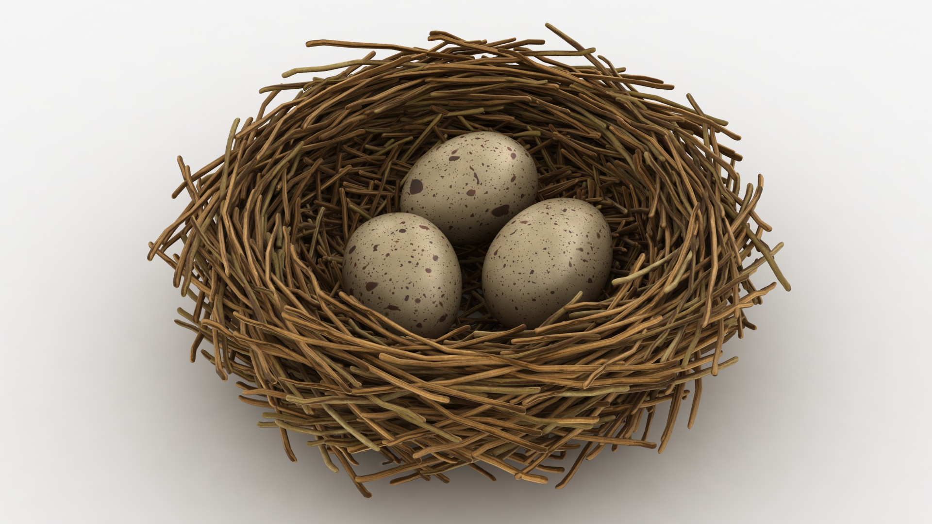 Realistic Bird Nest 3D Model - TurboSquid 1562373
