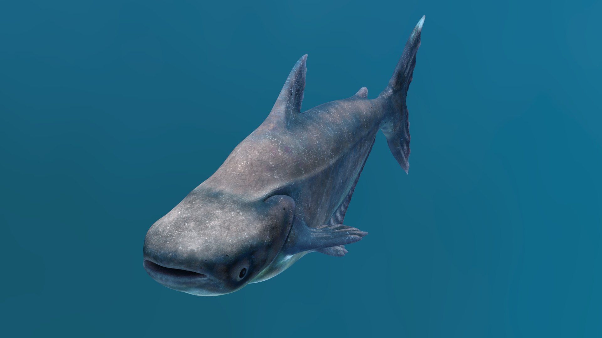 3D Mekong Giant Catfish - TurboSquid 2089721