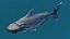 Mekong Giant Catfish