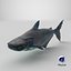 Mekong Giant Catfish