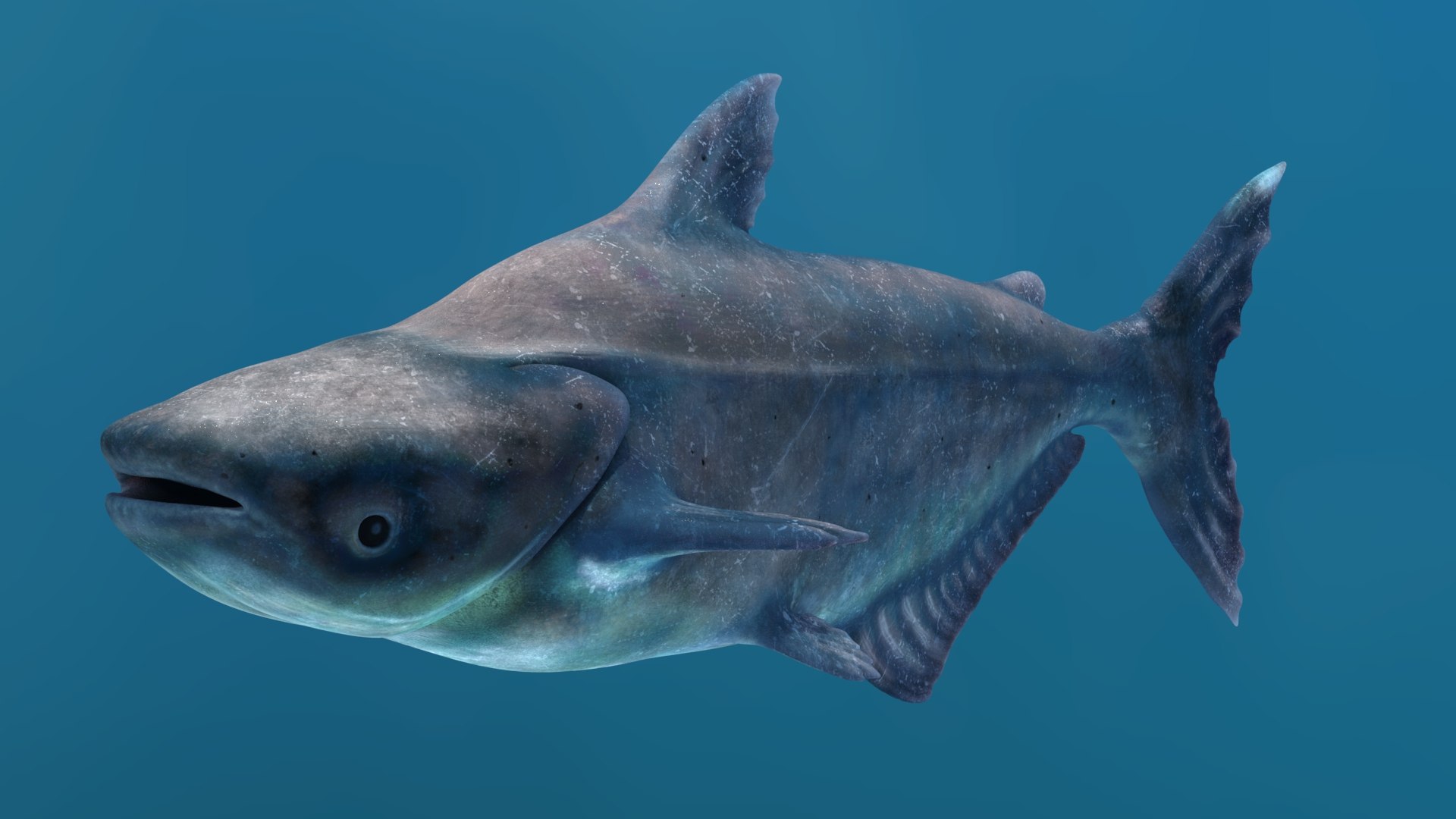 3D Mekong Giant Catfish https://p.turbosquid.com/ts-thumb/p8/odAs4W/O7/mekonggiantcatfish3dmodel11/jpg/1687983839/1920x1080/fit_q87/d26c8258077c0e3854cb2c5ebe5f25a515f1aefe/mekonggiantcatfish3dmodel11.jpg