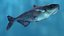 Mekong Giant Catfish